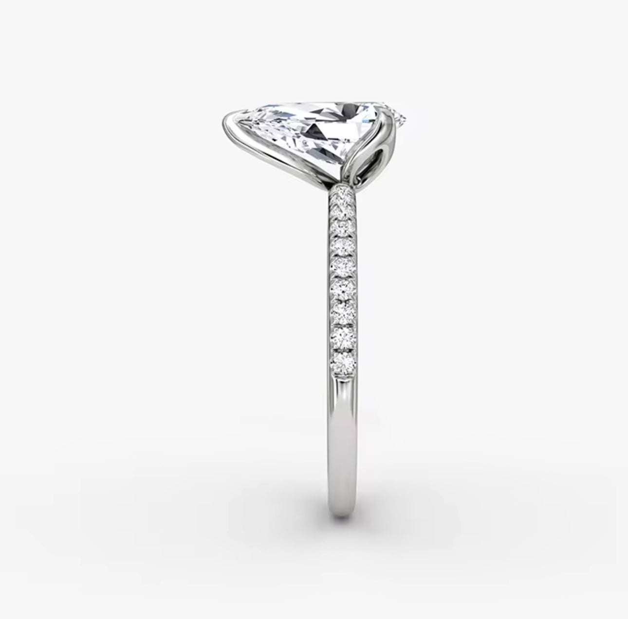 Roar Sterling Silver Ring Adascious Empire