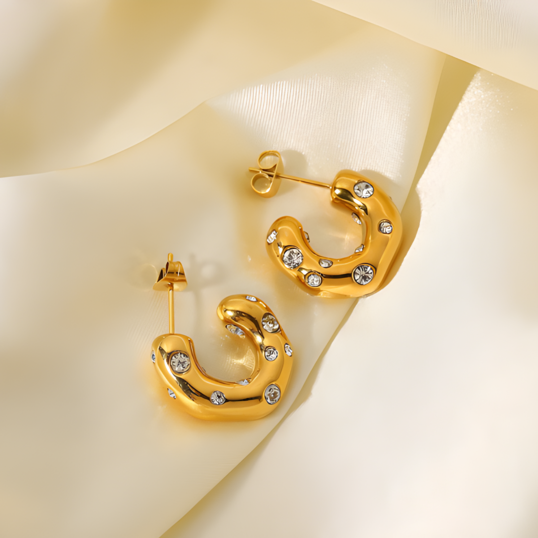 Chista Signature Hoops Earings Adascious Empire