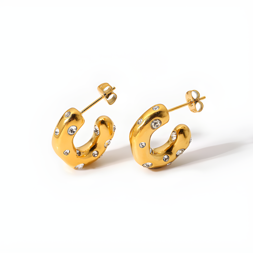Chista Signature Hoops Earings Adascious Empire