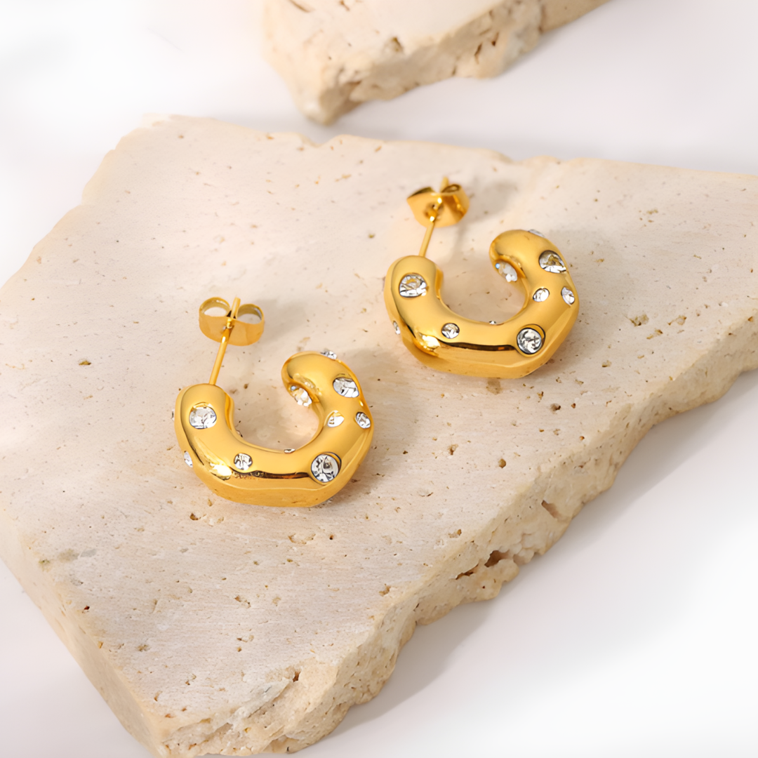 Chista Signature Hoops Earings Adascious Empire